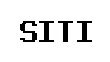 SITI | Secured Information Technology, Inc.